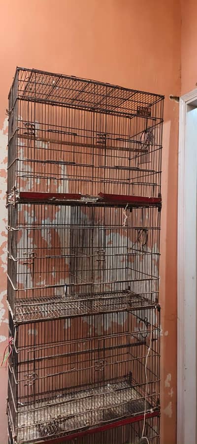 bujuies cage