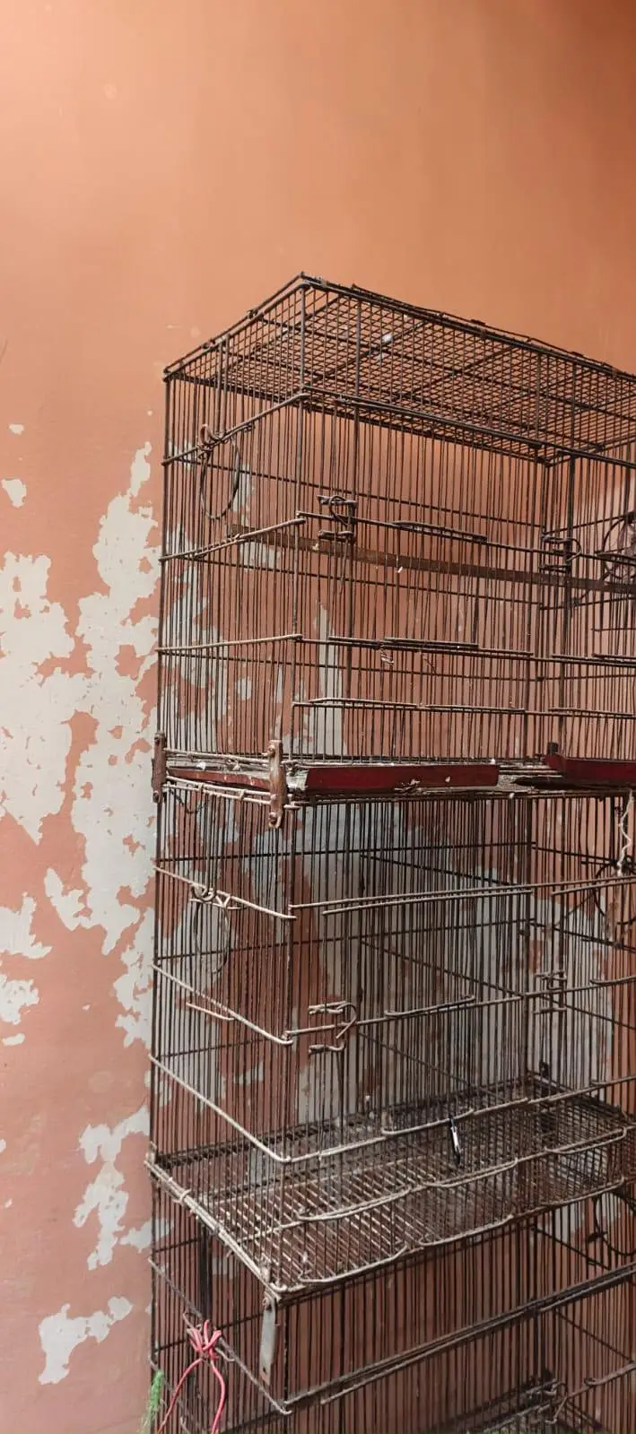 bujuies cage — photo 3