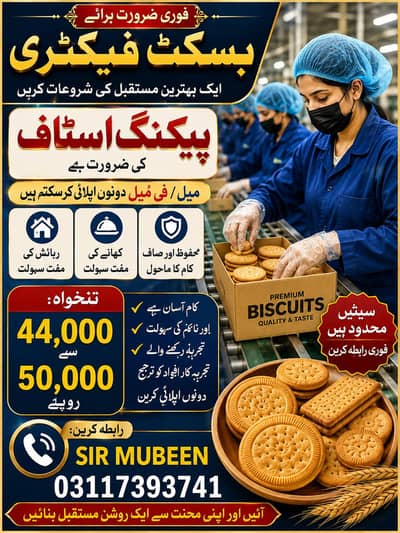 job ofer