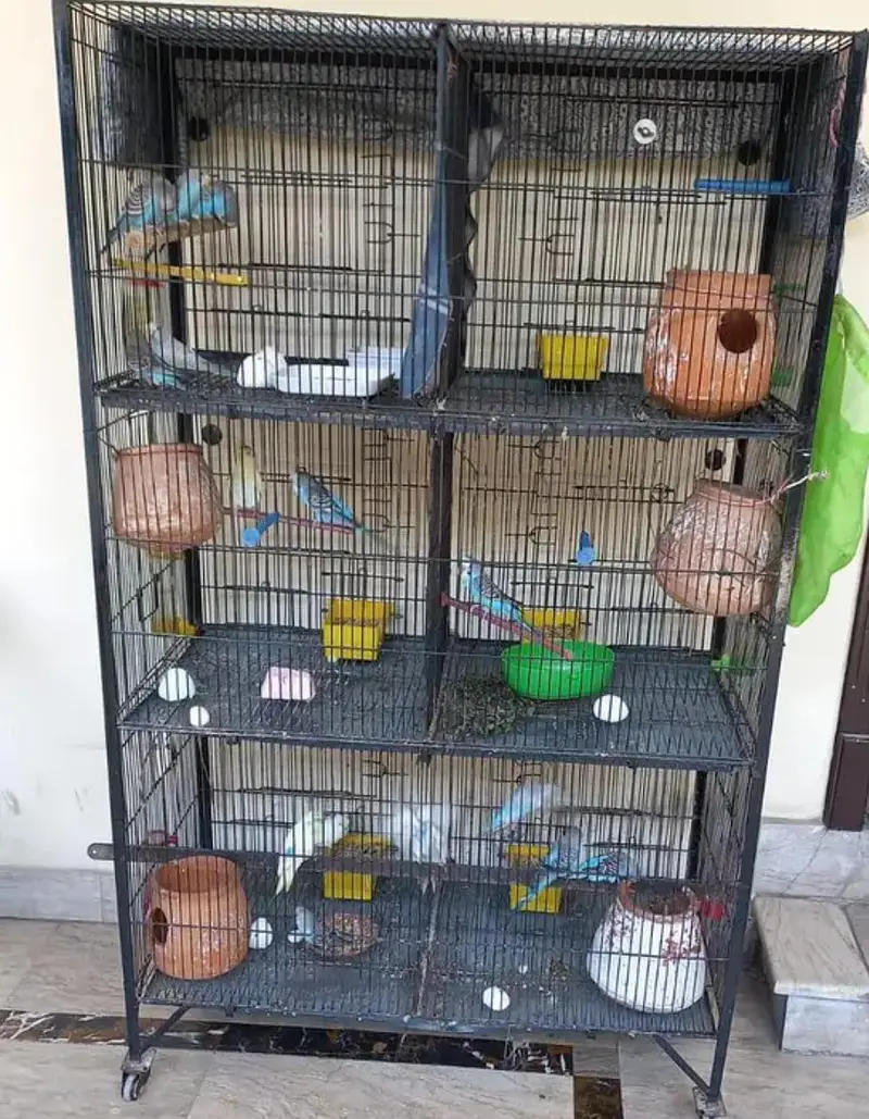 Cages For sale — photo 3