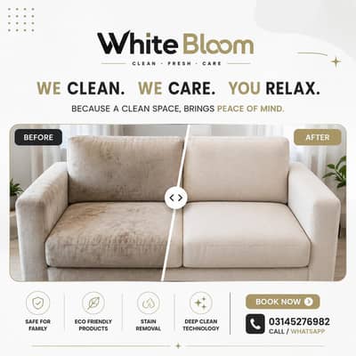 professional sofa & Carpet Cleaning Service