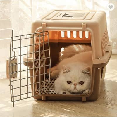jet box carrier cage travel box for cats and dogs