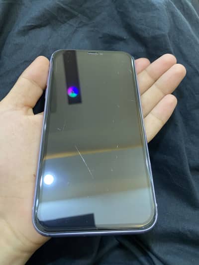 Apple iPhone 11