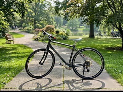 Giant Escape R3 Hybrid Sports Racing Bicycle Cyle
