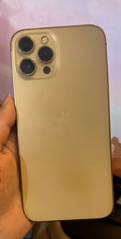 Apple iPhone 12 Pro Max