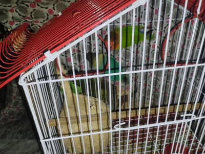 for sale