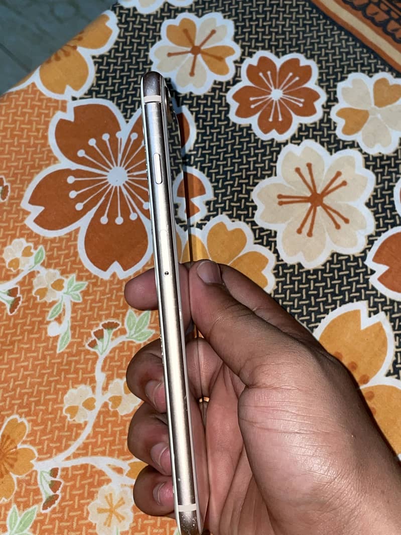 Apple iPhone 8 Plus 3