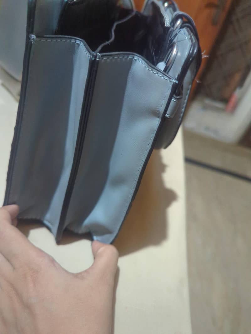 handbag 2