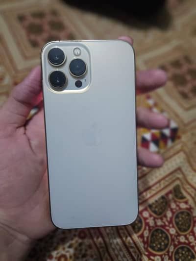 Apple iPhone 13 Pro Max