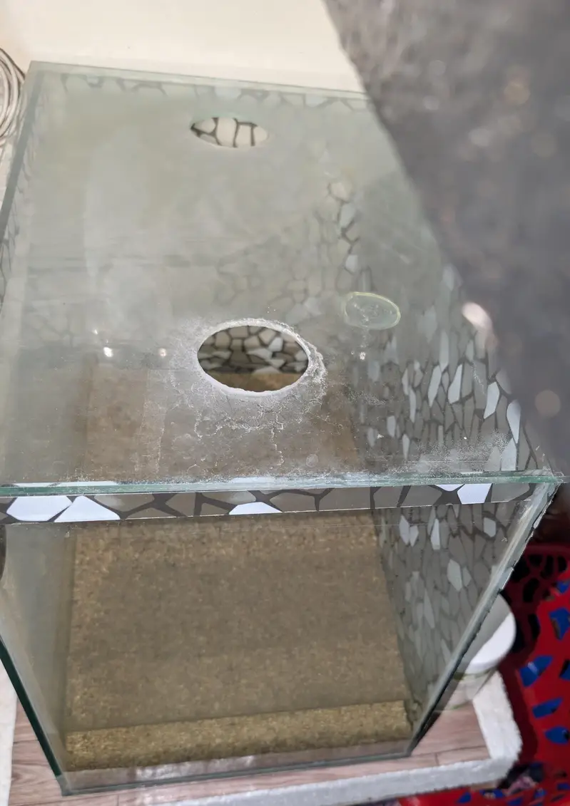 Aquarium Tank For Sale (6mm glass) — photo 4