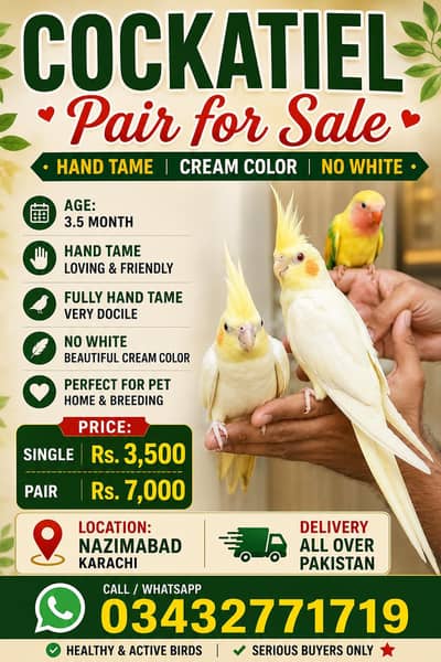 HAND-TAMED BIRDS FOR SALE Karachi