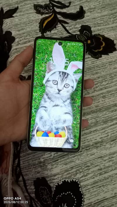 Tecno Spark Go with complete box