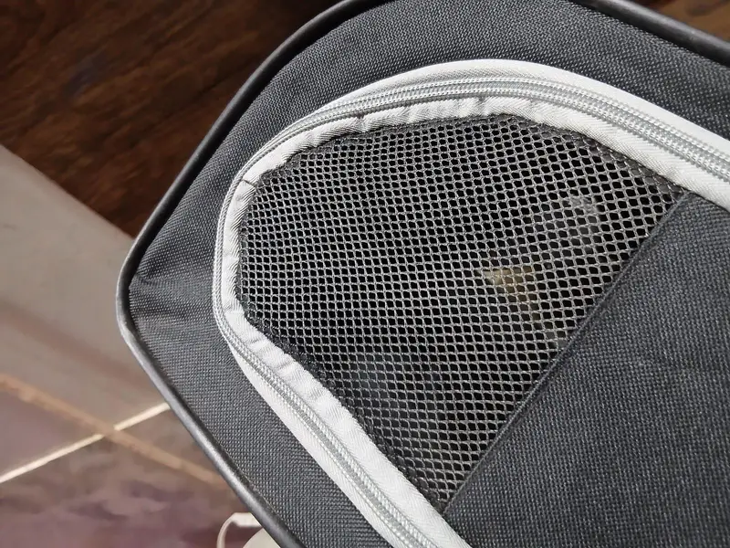 cat an puppy travel bag — photo 3