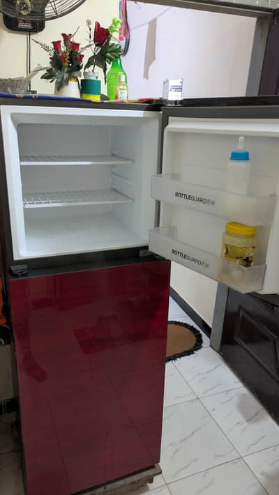 Haier Glass Door Refrigerator