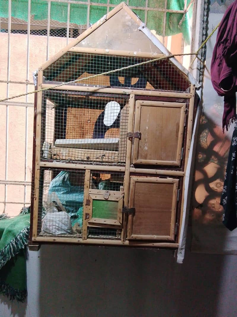 cage 2 portion 1
