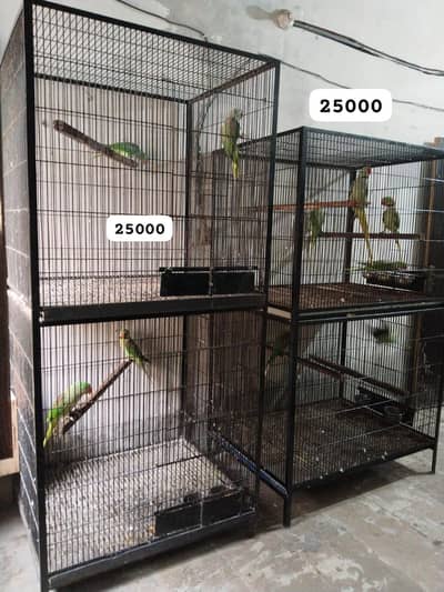Raw + cage 0321.7242445 call only