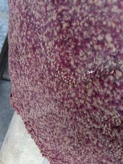 1year Used Carpet just like new. . Wash required