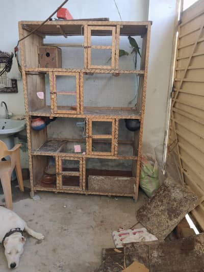 cage condition 9/10