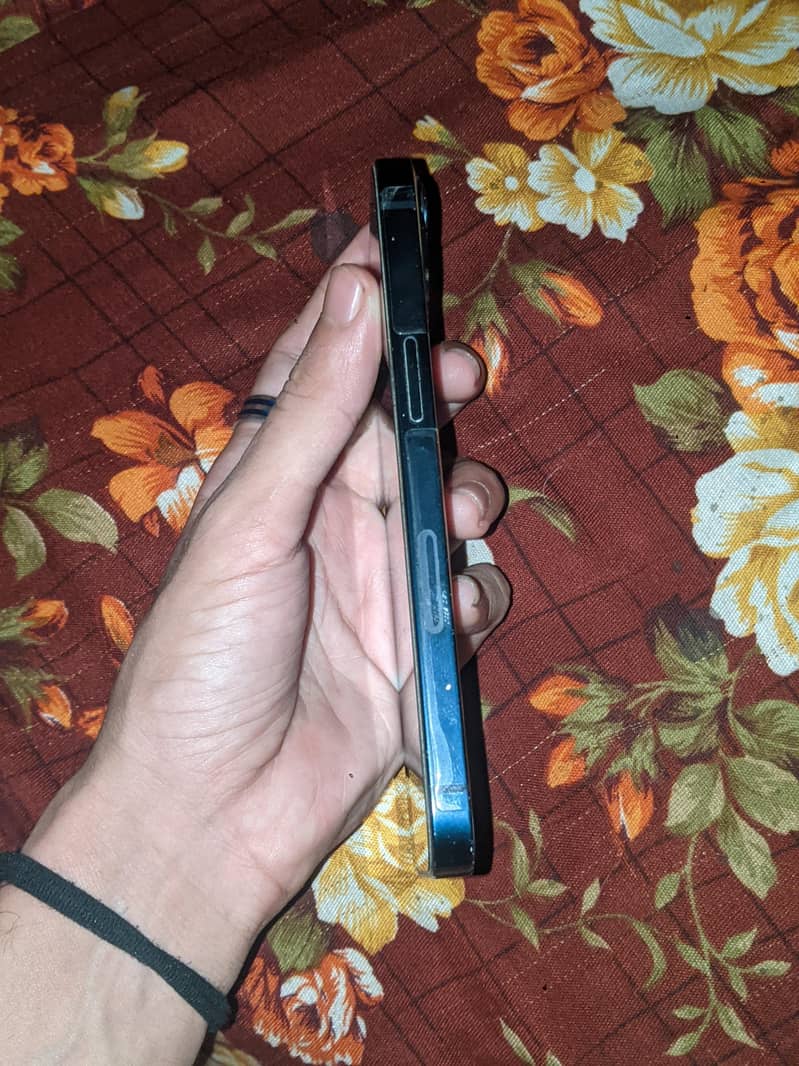 Apple iPhone 13 2
