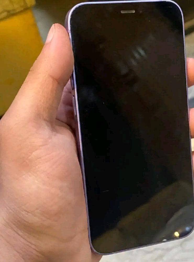 Apple iPhone 12 2