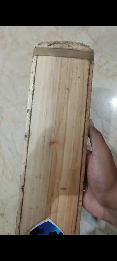 hard ball bats SG 2