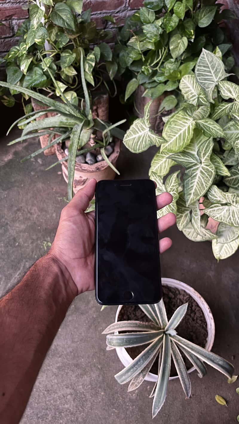 Apple iPhone 7 Plus 2