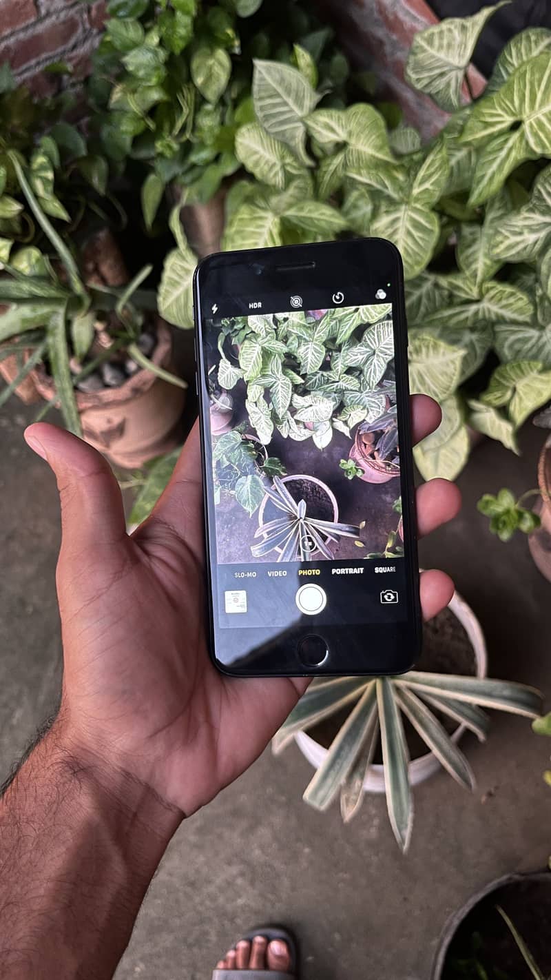 Apple iPhone 7 Plus 3