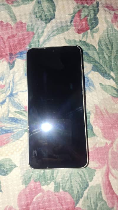 Xiaomi 15