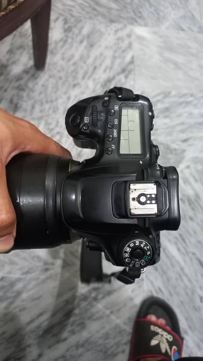 Canon 80d Body
