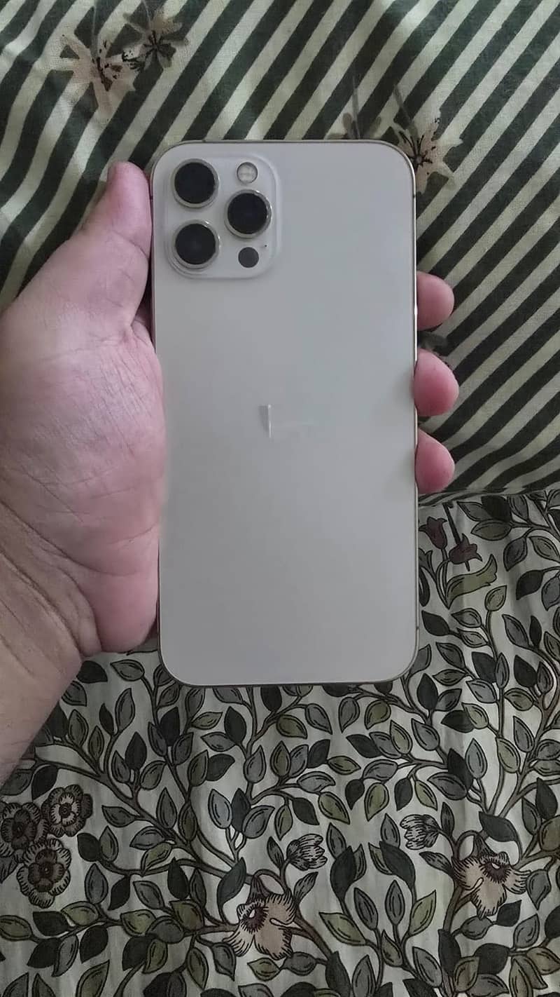 Apple iPhone 12 Pro Max 1