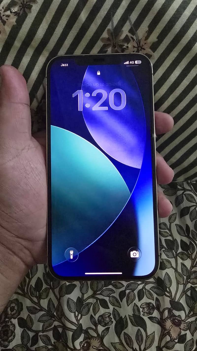 Apple iPhone 12 Pro Max 2