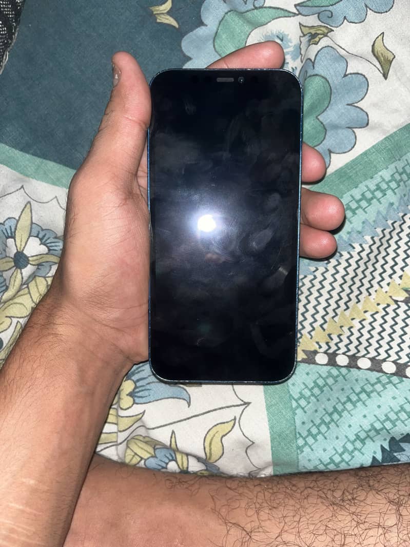 Apple iPhone 12 0