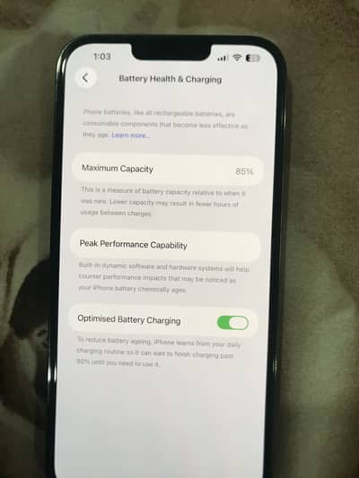 Apple iPhone 13 Pro Max
