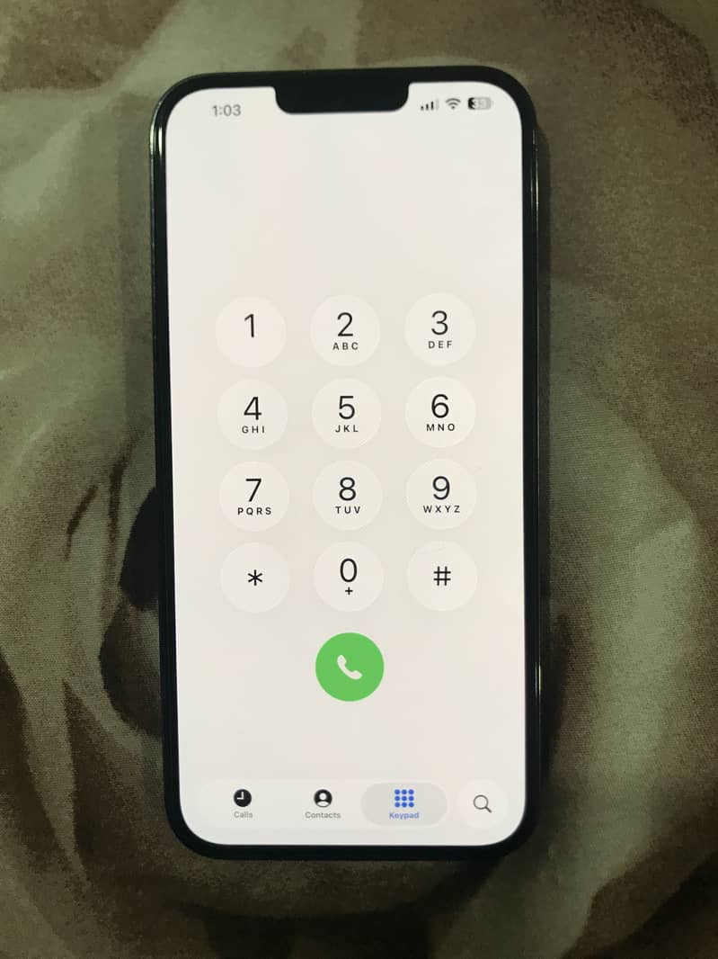 Apple iPhone 13 Pro Max 1