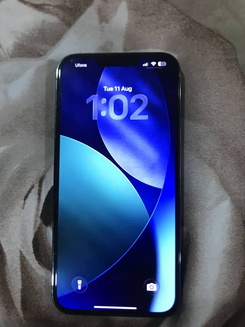 Apple iPhone 13 Pro Max 2
