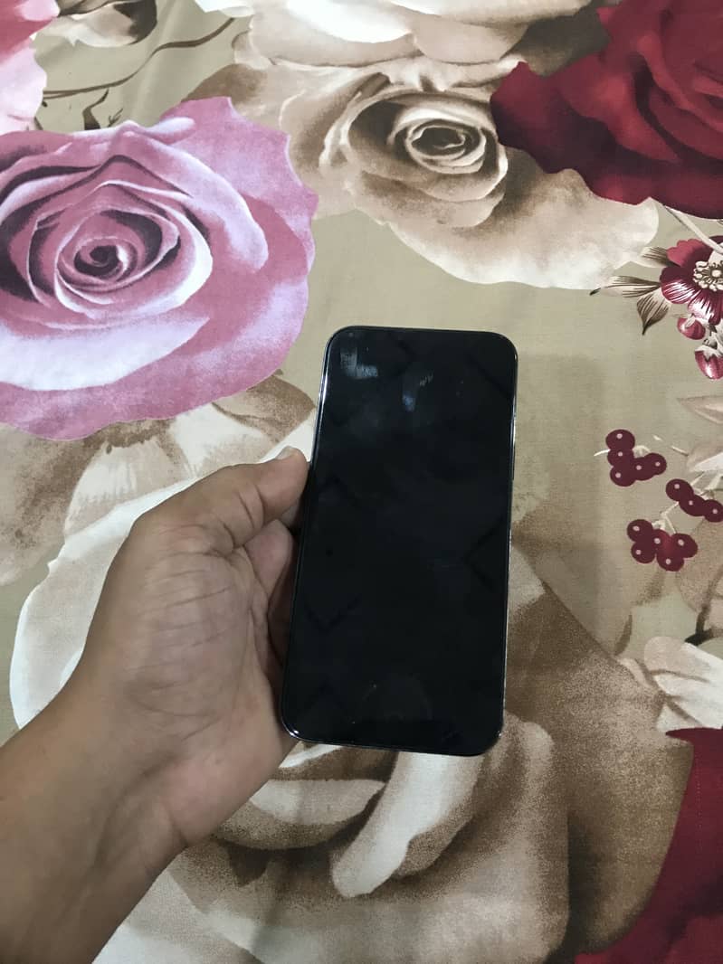 Apple iPhone 13 Pro Max 9