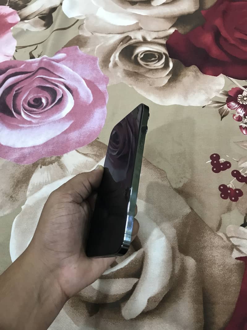 Apple iPhone 13 Pro Max 10