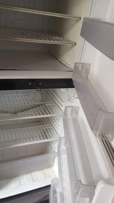 frige
