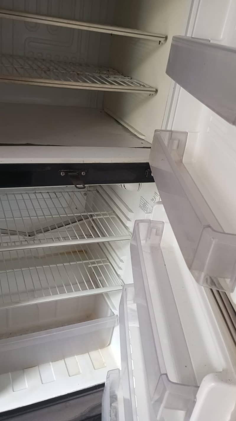 frige 0