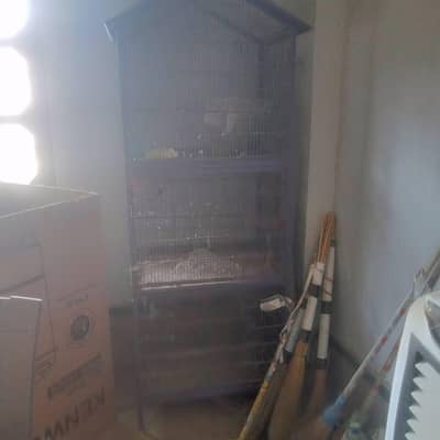 birds cage used
