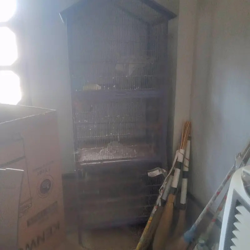 birds cage used