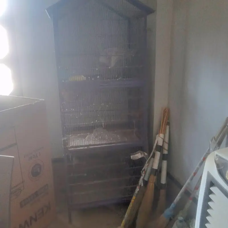 birds cage used — photo 2