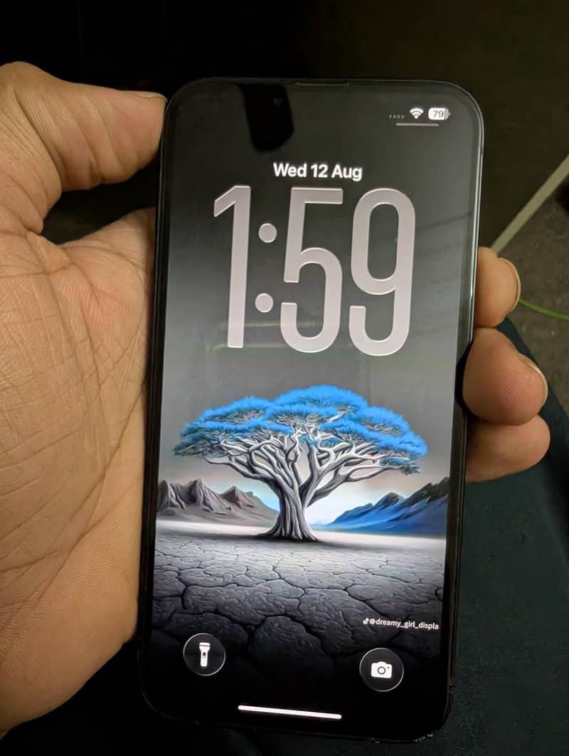 Apple iPhone 14 2