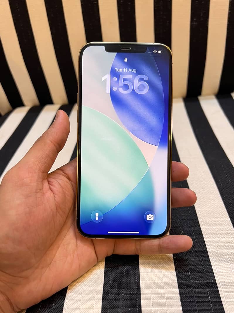 Iphone 12 Pro Max 3