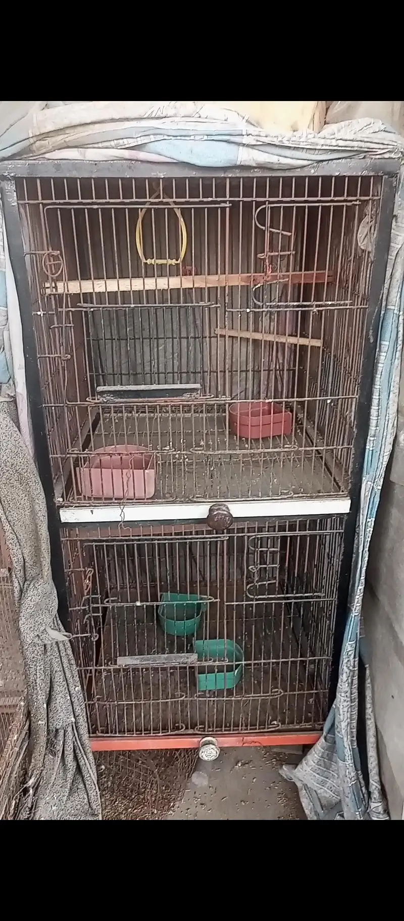 cage Iron — photo 4