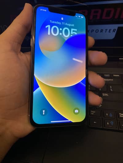 Apple iPhone X