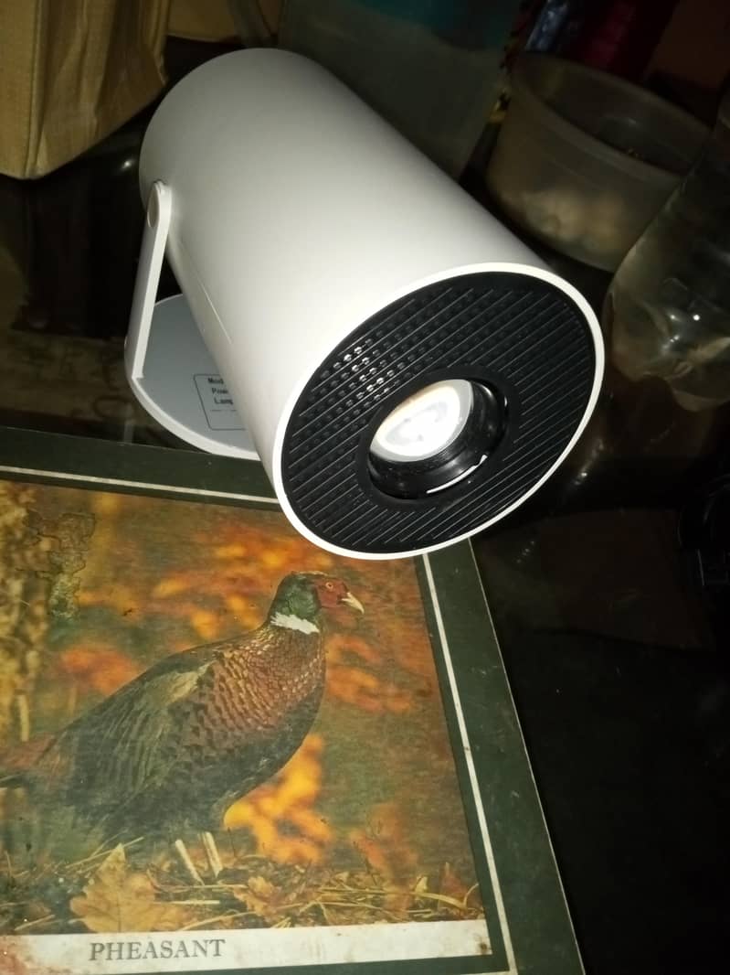 LCD screen projector 2