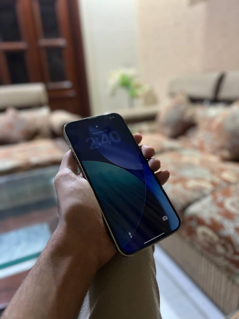 iphone 13 pro max 1