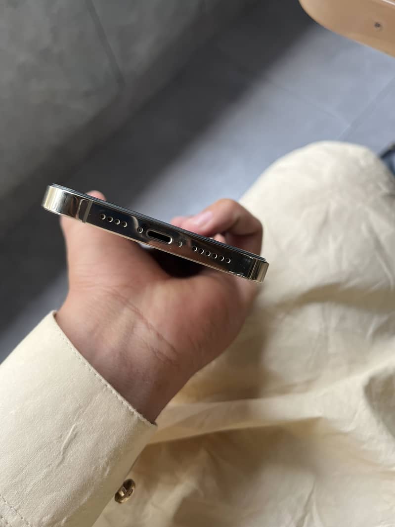 Apple iPhone 13 Pro Max 1