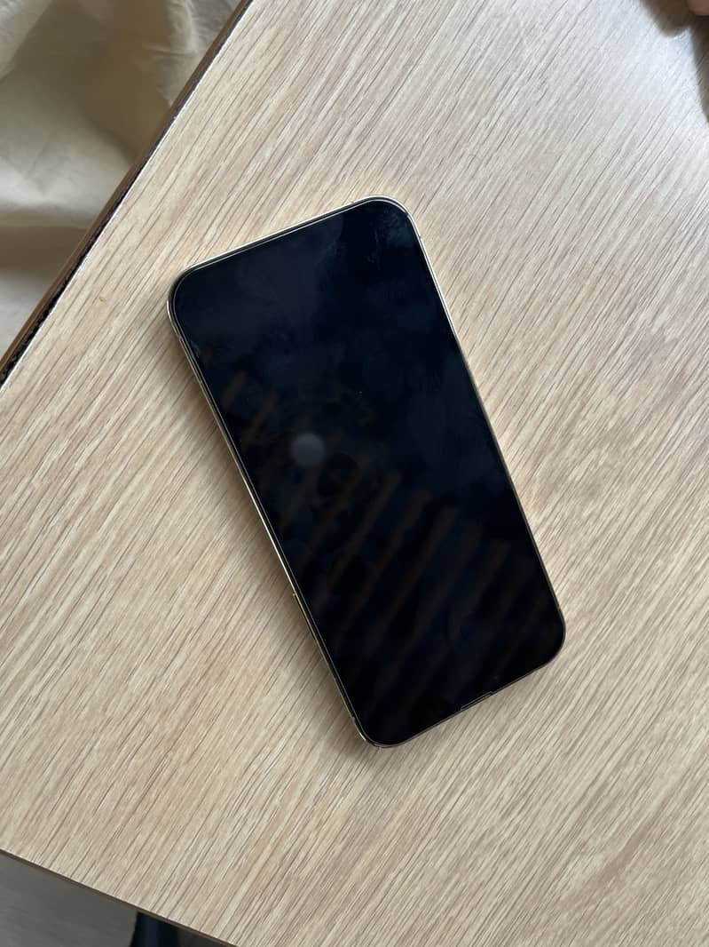 Apple iPhone 13 Pro Max 2